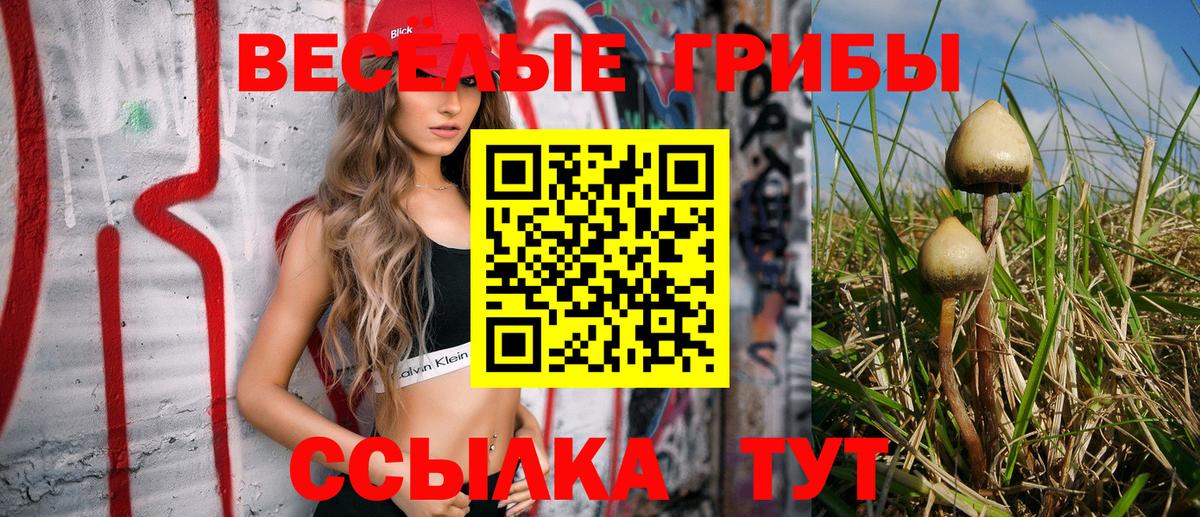 Псилоцибиновые грибы мухоморы  Вход с VPN  Кинель 